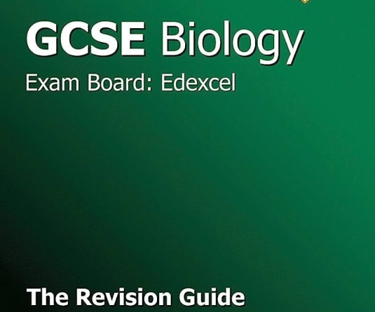 714gsTZLmqL._AC_UF894,1000_QL80_